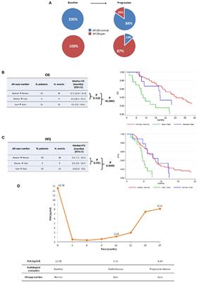 Plasma AR Copy Number Changes and Outcome to Abiraterone and Enzalutamide